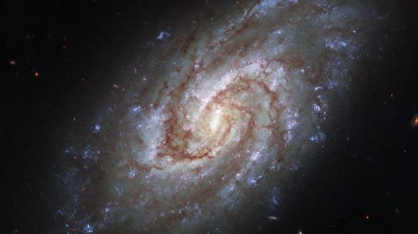 Космический телескоп “Хаббл” показал спиральную галактику IC 1954